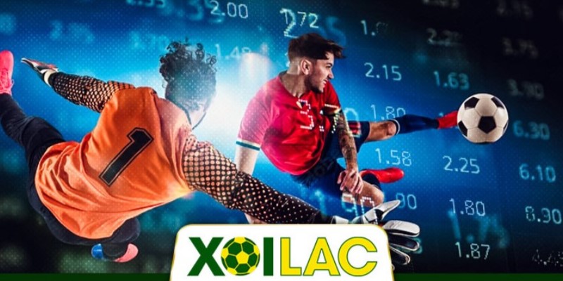 Hiểu trách nhiệm để trải nghiệm thuận lợi