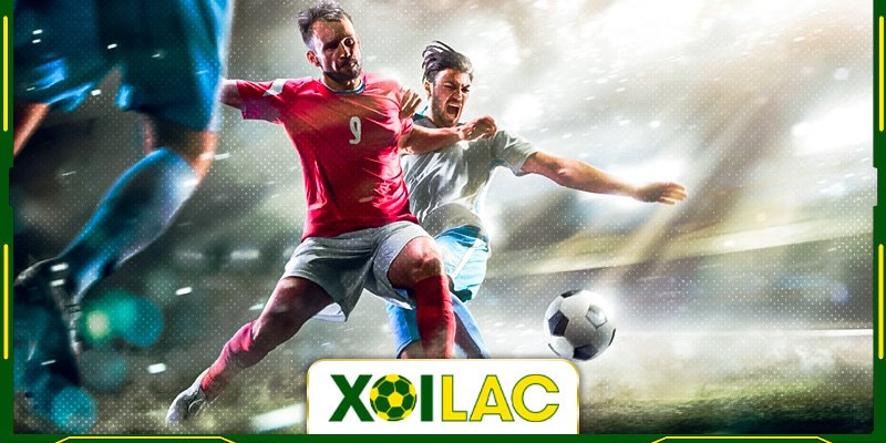 Tìm hiểu chính xác trách nhiệm từ phía XoilacTv