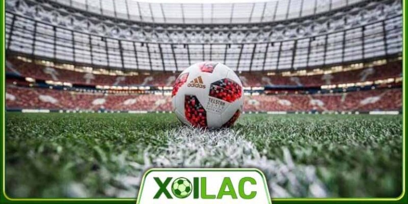Điều khoản XoilacTv với thông tin tổng quát nhất